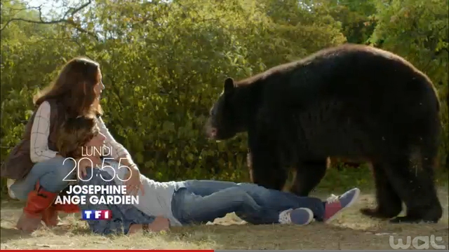 Josephine Ange Gardien Tous Au Zoo Streaming Animalier pour le cinema - télévision | Ours et Compagnie - Frederic